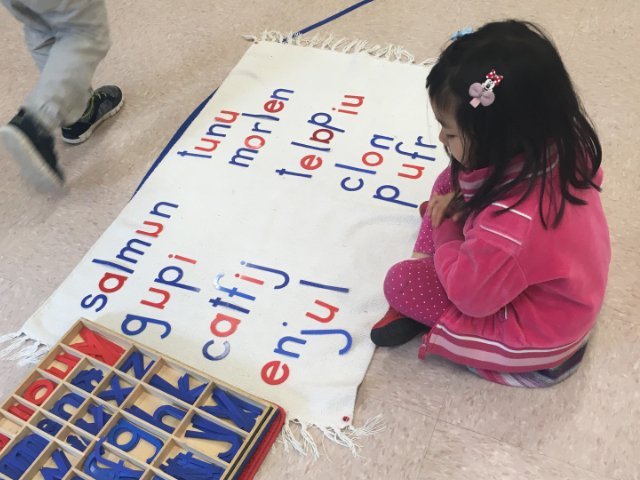 Lovedale Montessori Primary Full-Day Program